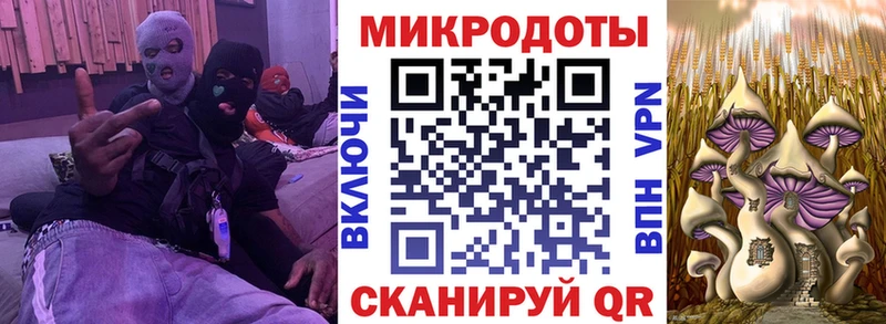 закладка  Енисейск  MEGA зеркало  Галлюциногенные грибы Psilocybine cubensis 
